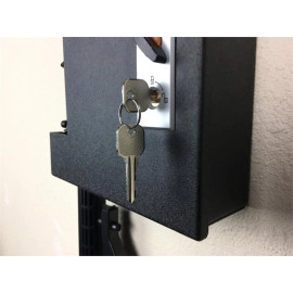 ShotLock Gun Safes AR 200M Solo-Vault - SARSV200M